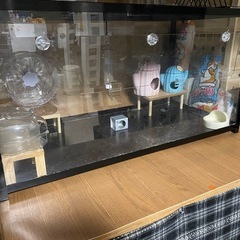 ハムスターケージセット