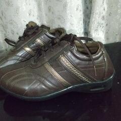 ブラウンレデース靴の画像