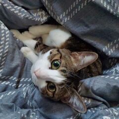 幸せにしてくださる方