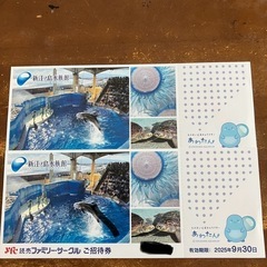 新江ノ島水族館　ご招待券 ペア
