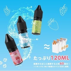 【新品】DBL VAPE 電子タバコ リキッド 12風味×10ml 120mlの画像