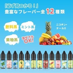 【新品】DBL VAPE 電子タバコ リキッド 12風味×10ml 120mlの画像
