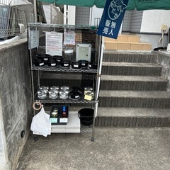 6/29めだか無人販売