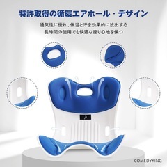 【新品未使用品】姿勢矯正 椅子座るだけ腰が痛くならないクッション 骨盤サポートチェア 腰痛 椅子 軽量　の画像
