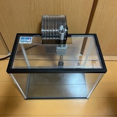 【お取引完了】スリム水槽　フィルター付きの画像