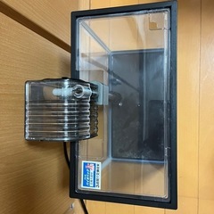 【お取引完了】スリム水槽　フィルター付きの画像