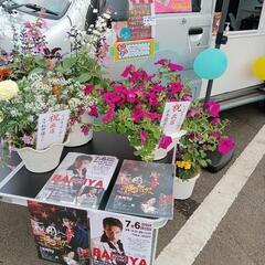 💁‍♀️🌈🍀わいわい市のメダカ屋さん達がスポンサーを務める…