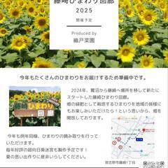 🌻2025 藤崎ひまわり回廊🌻