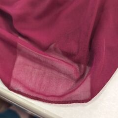 赤のドレスの画像