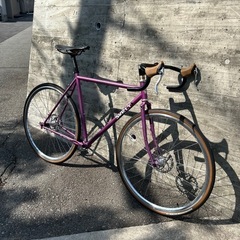 サーリー　ストラグラーの画像
