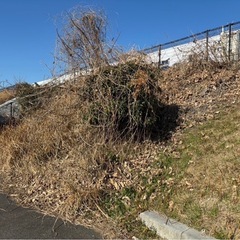 お庭の草刈り⭐️敷地の草刈り⭐️剪定など⭐️