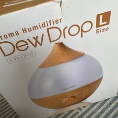 引越しのため売れなければ処分　加湿器