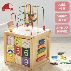 知育玩具　エドインター　森のあそび箱　ルーピング