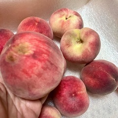 桃　訳あり桃　すぐ！食べる用　ジャムにも！の画像