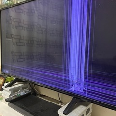 テレビ