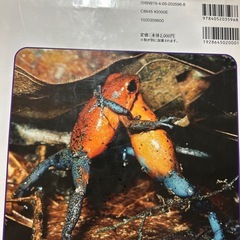 図鑑セットの画像