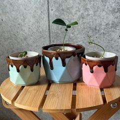 かわいい植木鉢の画像