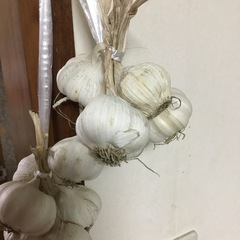 早い者勝ち にんにくの画像