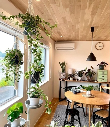 【浦和駅周辺 : ボタニー ハンギングポールセット