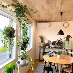 【浦和駅周辺 : ボタニー ハンギングポールセット