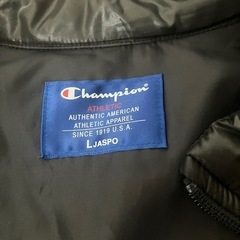 champion ダウン　メンズの画像