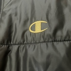 champion ダウン　メンズの画像