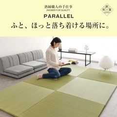 日本製 琉球畳 置きたたみ  
