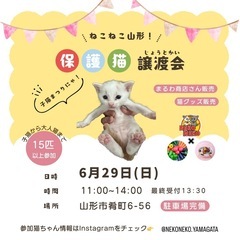 山形市 保護猫譲渡会