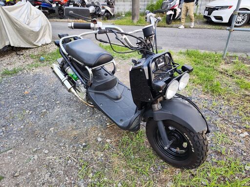 ホンダズーマーAF58キャブレターモデル実働車！ (Laima) 戸塚