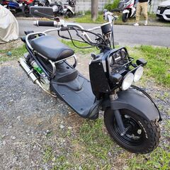 キング キングセイコー＞ より、“The Newest Classic”を体現する限定