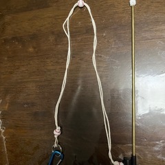クワガタ採集用
オオアゴロックの画像