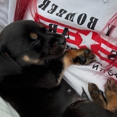 ラブmix