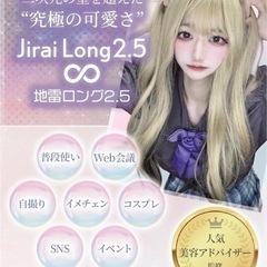 ウィッグ ロング ファッションウィッグ かつら ツートン パープル グレーの画像