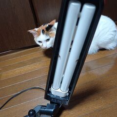 卓上ライトの画像