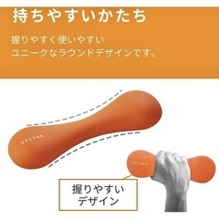 スリムダンベル2個ウィメンズの画像