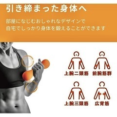 スリムダンベル2個ウィメンズの画像