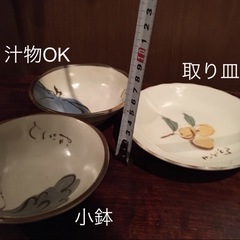 3点セット 小鉢 小皿 橘吉 たちきち　野菜の画像