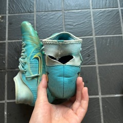 スパイク24.5の画像