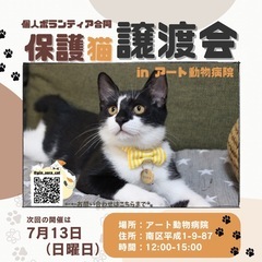 個人ボランティア合同譲渡会