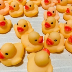【水遊び】小さいアヒルのおもちゃの画像