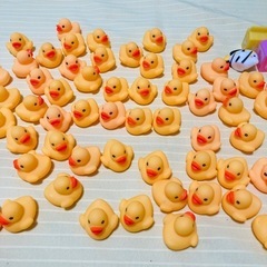 【水遊び】小さいアヒルのおもちゃの画像