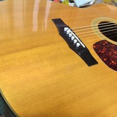 ❤️弦高調整済❤️新フレット「MORRIS F-01 モーリス F