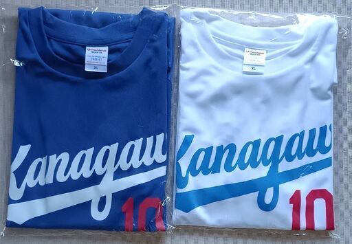 最後のお値下げです!☆超レアTシャツ☆高校野球2018福井国体 最後のお値下げです!☆超レアTシャツ☆高校野球2018福井国体