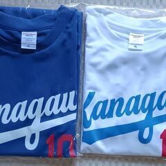 第95回神奈川県高等学校野球選手権記念Tシャツ2枚セット