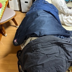 ［お買い得］大きなサイズのズボンセットの画像