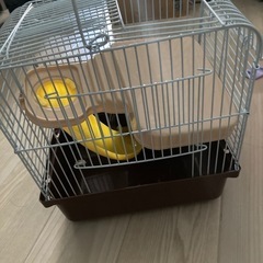 ハムスター  ケージの画像