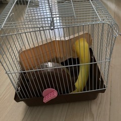 ハムスター  ケージの画像