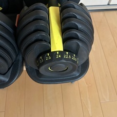 可変式ダンベル24Kg＋【訳あり】
ベンチ（猫の引っ掻き傷あり） の画像