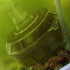 水槽と金魚一匹の画像