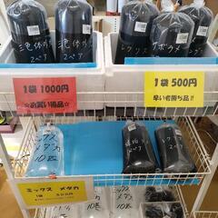 古代蓮の里にてメダカ販売中